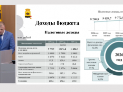 Власти Новороссийска раскрыли детали бюджета: на что потратятся в 2026-м году