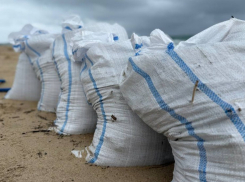 Всё-таки в Новороссийск? Оперативный штаб решают, куда вывозить «мазутный» песок