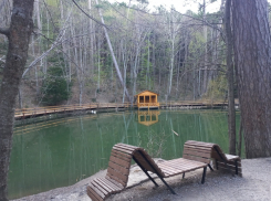 Открыть проран и сделать домики для лебедей: новороссийцы хотят красивую лагуну 