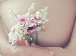 Остеоспермум заполонит улицы Новороссийска