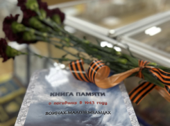 Ушаковка к 9 мая выпустила третье издание «Книги Памяти»