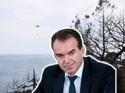 Мегапожар в Дюрсо: можно ли было спасти лес под Новороссийском?