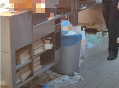 «Настоящая помойка!»: новороссийцы в шоке от «чистоты» кухни одного из местных кафе