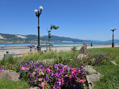 Погода в Новороссийске: жара потихоньку спадает 