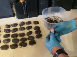 «Камни» с запрещенным веществом нашли в машине жительницы Новороссийска