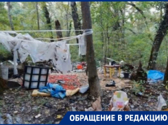 «Квартира» на свежем воздухе: в Новороссийске бездомные облюбовали Цемесскую рощу