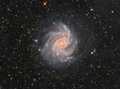 Гороскоп от “Блокнота” на 27 июля: тяжелый день для Львов и Скорпионов