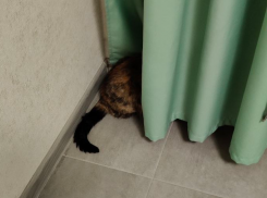 Как избежать проблем в пятницу: чего звезды не советуют сегодня делать знакам зодиака