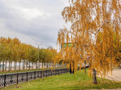День будет солнечным