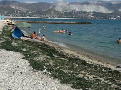 «Лицо города у моря – не лицо, а что-то другое»: поздравляем новороссийцев со Всемирным днём пляжей