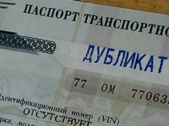 Новороссийск - не без добрых людей: история о найденном ПТС 