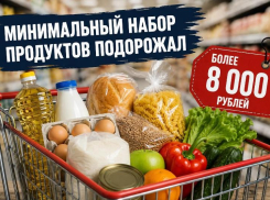 За еду придется платить больше: минимальный набор продуктов превысил 8000 рублей