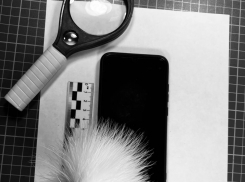 Украл телефон из сумочки — приезжему в Новороссийск грозит до 5 лет