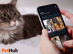 Приложение новороссийских разработчиков «PetHub» попало в топ-7 «Кода Дурова»