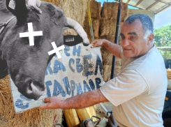 Сотрудник Минприроды края украл и съел молодую телочку