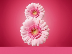 Букетный марафон пройдет в Международный женский день в Новороссийске