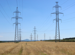 «Россети Кубань» подключила к электросетям около 100 объектов АПК в юго-  западном энергорайоне