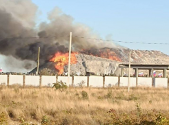 И вот опять: в Новороссийске пожар на мусорном полигоне