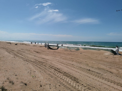 Блогеры заверяют: купаться – можно? Жители Анапы проводят свои экспертизы воды