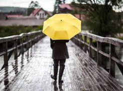 Первый день зимы в Новороссийске будет дождливым