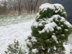 Снег превратится в лужи: погода в Новороссийске