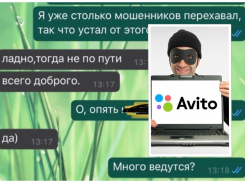 Синдром невиданной откровенности, или как мошенник все жертве рассказал. История об «Авито» -доставке из Новороссийска