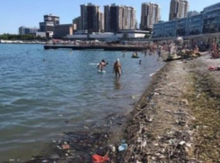 Море и море мусора: горпляж не радует новороссийцев 