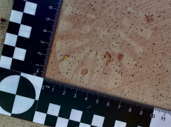 Оставила чемодан на пару минут — приезжий из Челябинска предстанет перед судом Новороссийска