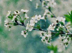 Небольшой дождь попытается испортить погоду в Новороссийске