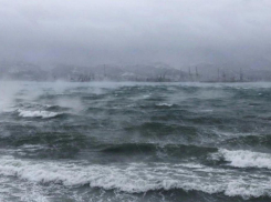 Мороз и ветер: в Новороссийск снова вернулась непогода