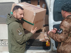 «Мы давно исключили Агачкина»: председатель «Ассоциации волонтёров» Новороссийска Дмитрий Бородин