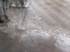 «Уже два года в болоте живем!»: подъезд Новороссийска заливает водой 