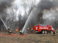 15 единиц техники ликвидировали крупный пожар под Новороссийском во время учений