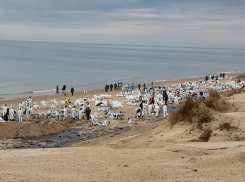 На пляжах Черного моря заменят песок: курортный сезон под вопросом 