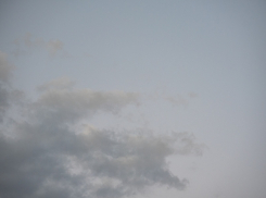 75% россиян считают экологическую обстановку благополучной — согласны ли новороссийцы