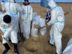 Свыше 1200 новороссийских курсантов приняли участие в ликвидации последствий разлива нефтепродуктов: работа продолжается