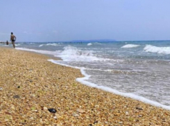 Вода в Анапе - странный предмет: рыбу есть можно, купаться – нет