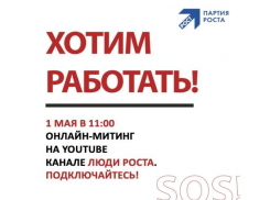 #Хотимработать: бизнесмены и Шнуров приглашают новороссийцев на онлайн-митинг