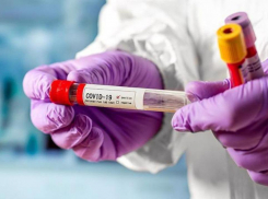 Нездоровая статистика: 16 новороссийцев слегли с коронавирусом 