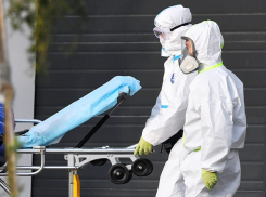 Коронавирус продолжает атаковать Новороссийск и всю Кубань