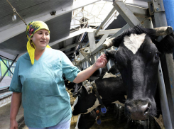 За 6 лет более ста фермеров края получили гранты почти на 450 миллионов рублей