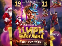 Цирк Никулина: спешите на заключительные новогодние представления в Новороссийске