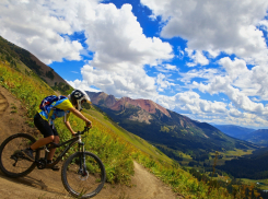 В Новороссийске развивают велотуризм: стало известно, где будут новые маршруты 