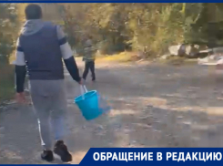 Не хватало только трупа: жительница Новороссийска приехала за грибами в жуткий лес