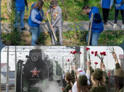 «Сады памяти» и «Эшелон Победы»: новороссийцы смогут принять участие в памятных акциях