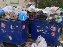 Новороссийцам объявили нового регоператора: кто теперь будет вывозить мусор?