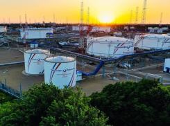 АО «Черномортранснефть» показало высокие результаты в области охраны окружающей среды 