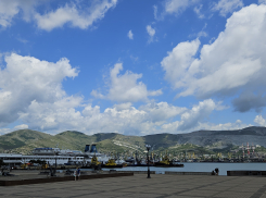 Гороскоп от «Блокнота»: Ракам не хватает стабильности, а Скорпионам порядка в жизни 