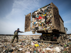 Что нужно делать новороссийцам, чтобы горы мусора не росли так быстро