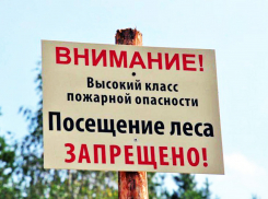 Новороссийцам все еще нельзя в лес и можно будет нескоро